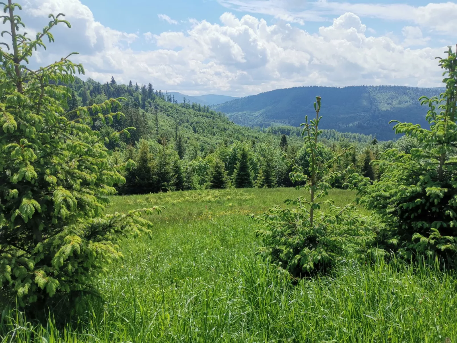 In den Bergen, Villa mit Panoramaterrasse - Draußen