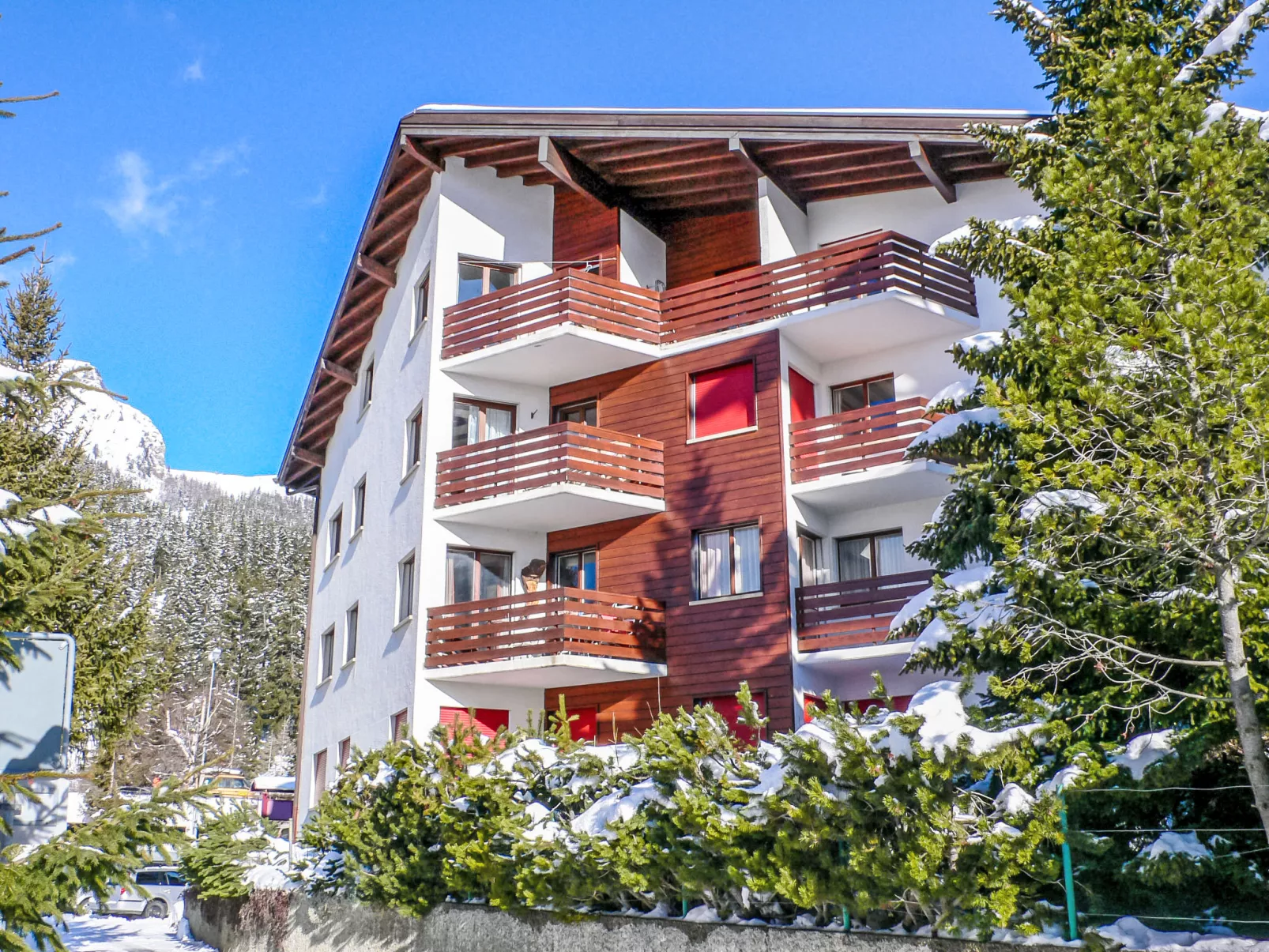 Violettes Vacances A303 - Dehors