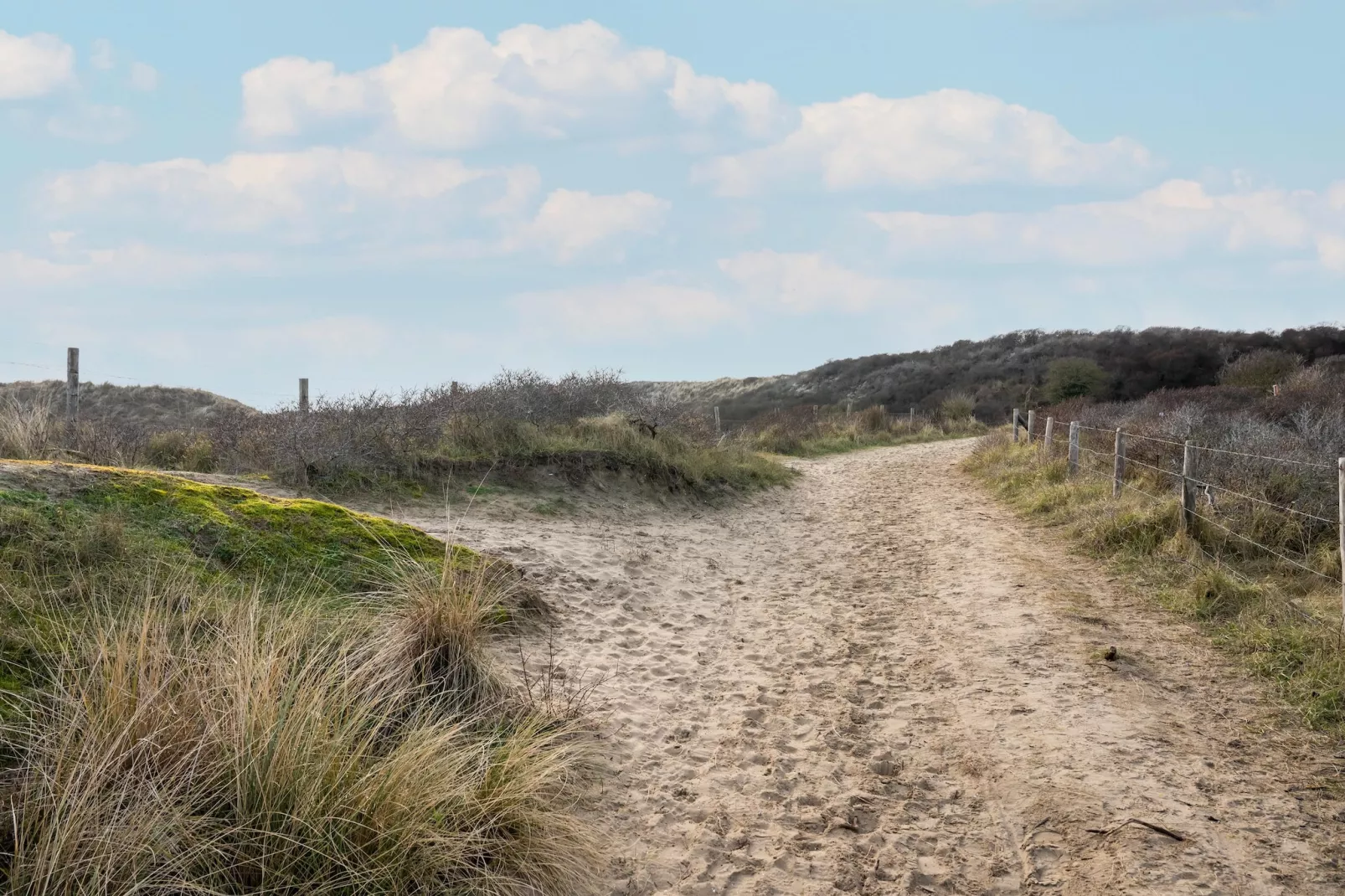 De Zilvermeeuw - Gebiete Sommer 5 km