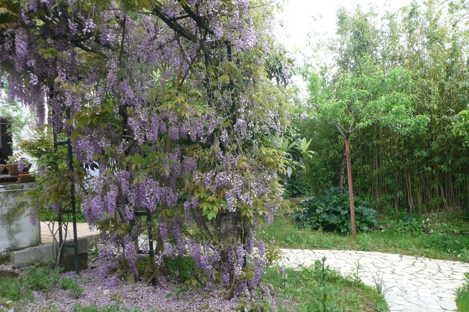 Casa Bela Esperança - Jardins en été