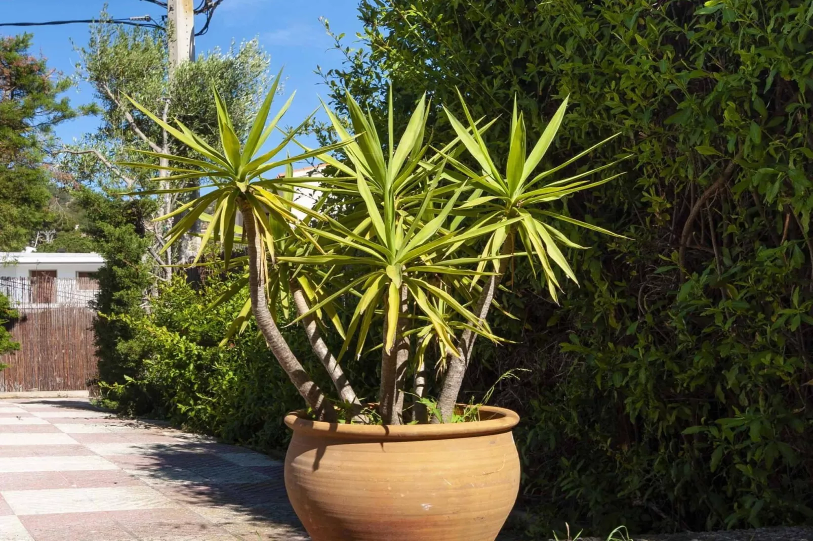 1233 VILA NEUS con piscina - Exterior in summer