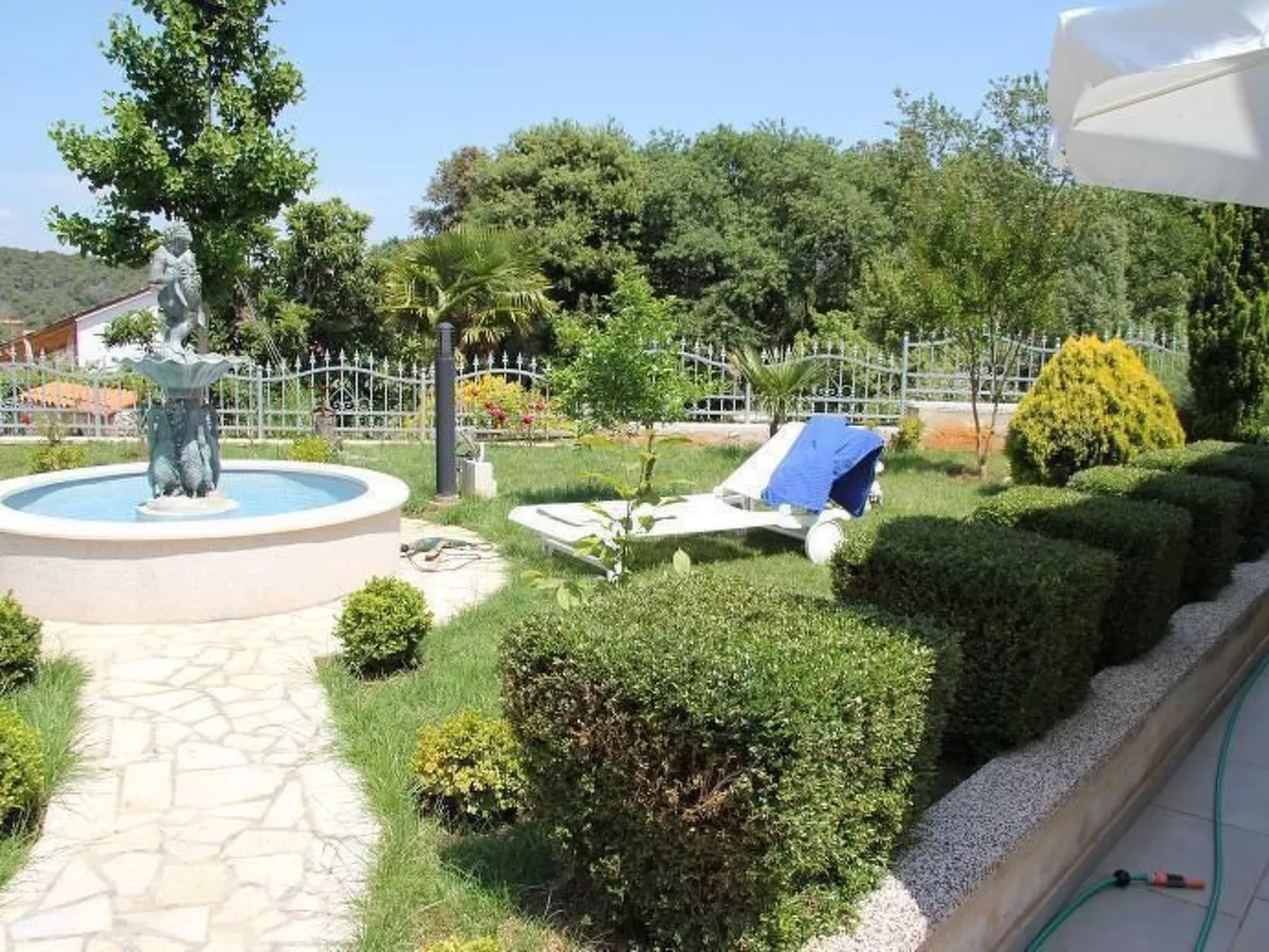 Ginkgo 1 - Image-tags.info