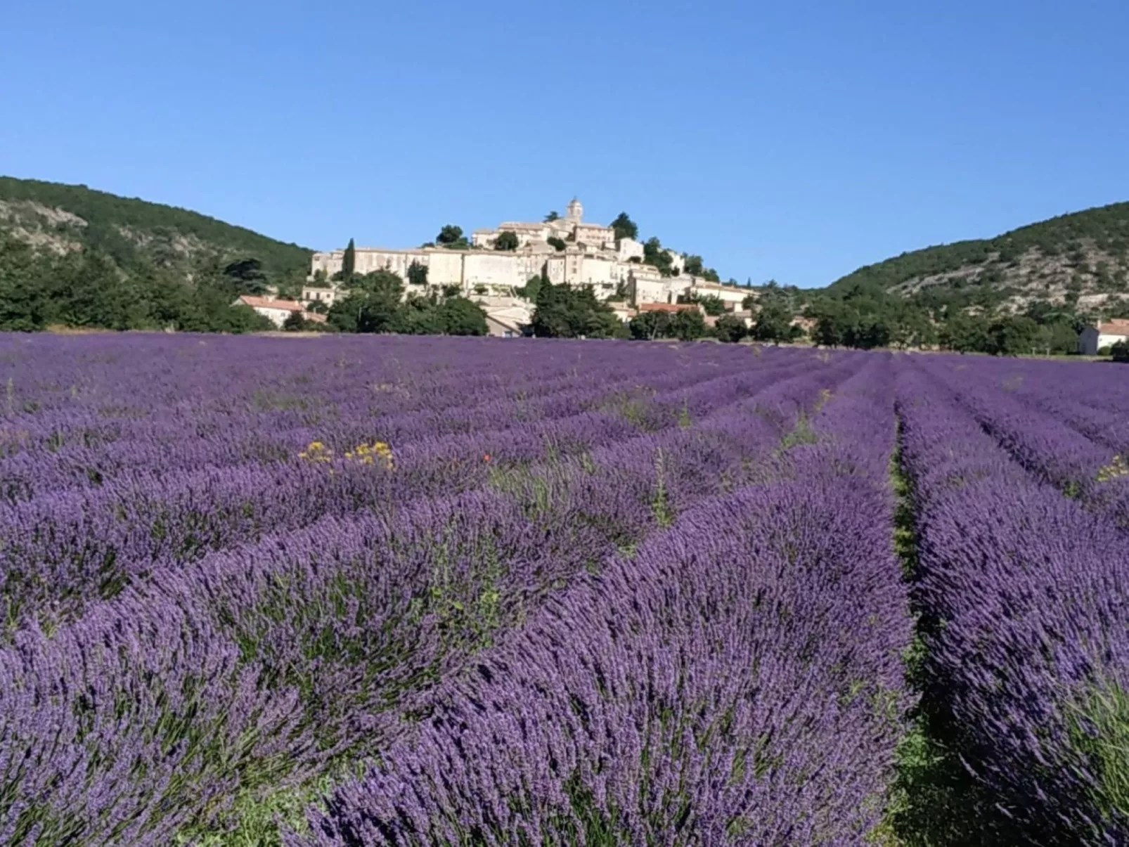 L ancien Hôtel Creste - Outside