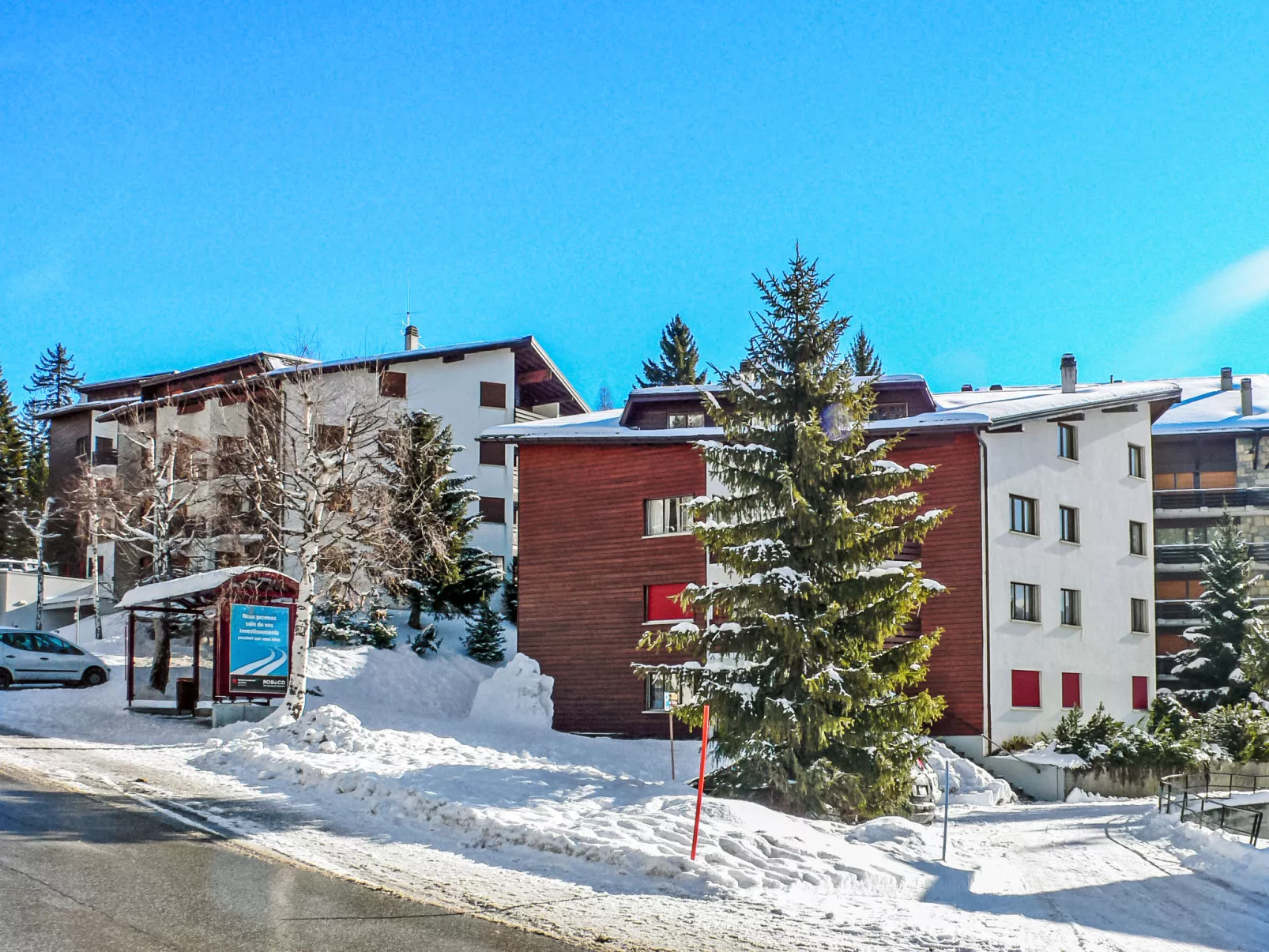 Violettes Vacances A303 - Dehors