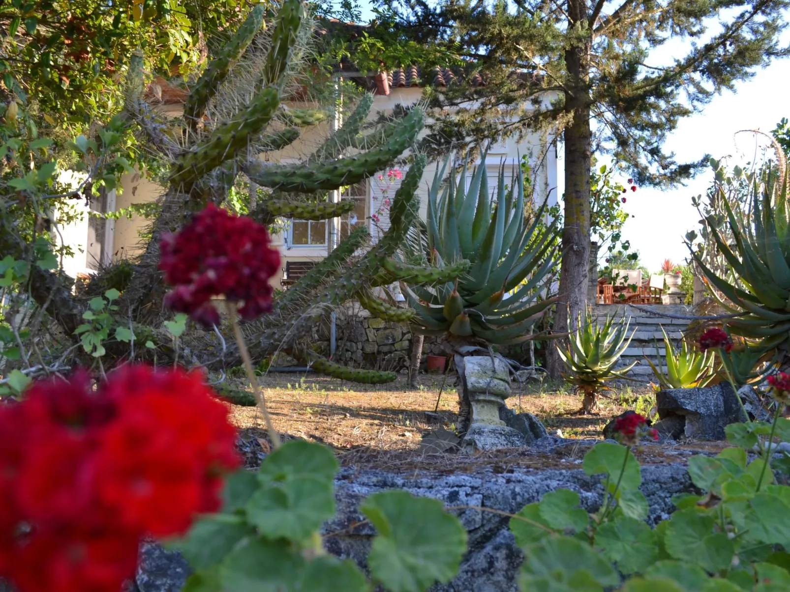 Anwesen mit Garten, Grill und Terrasse - Draußen