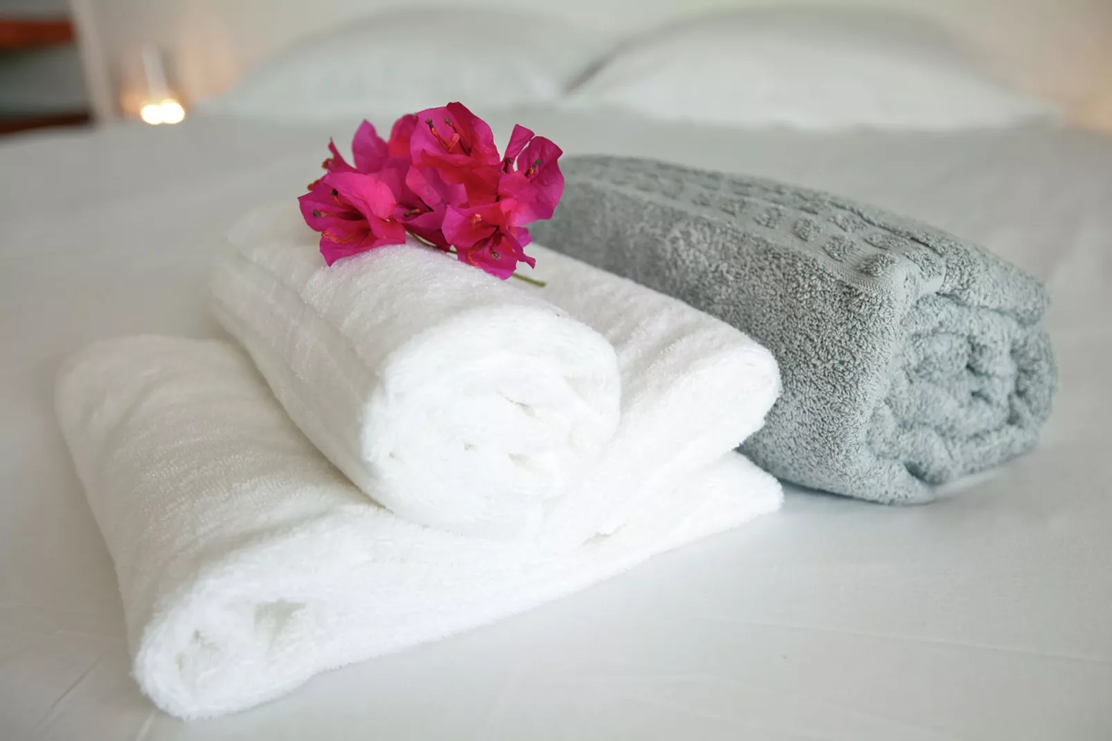 Rise and Shine Boca Gentil - Ambiance