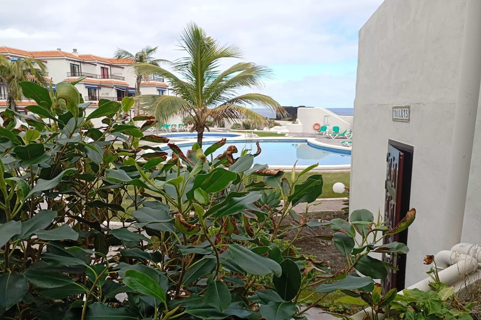 Playa Los Cancajos - Garten Sommer