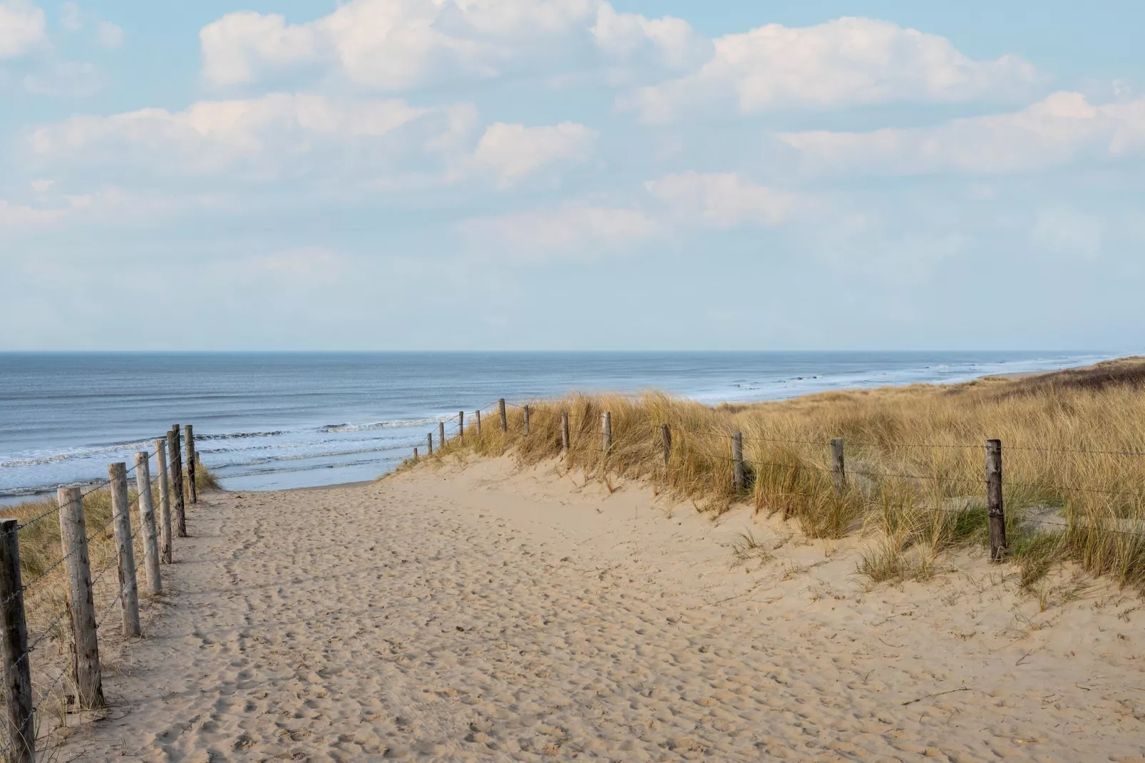 De Zilvermeeuw - Gebiete Sommer 5 km