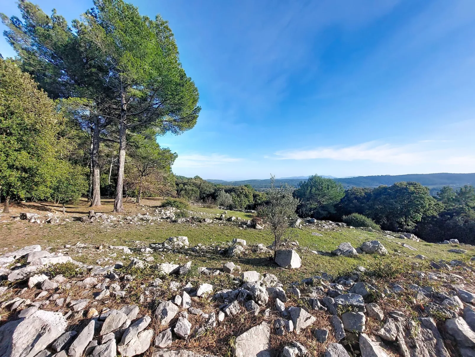 Nature Chez Michel - Draußen