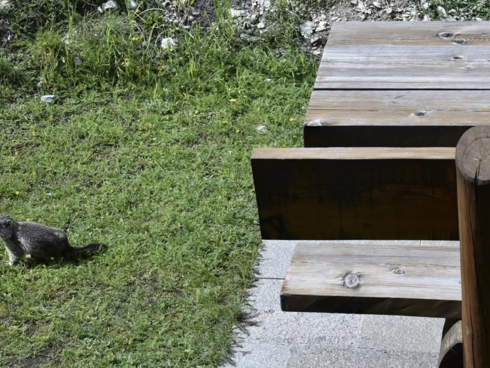 Chalet Le Murmure du Torrent - Draußen