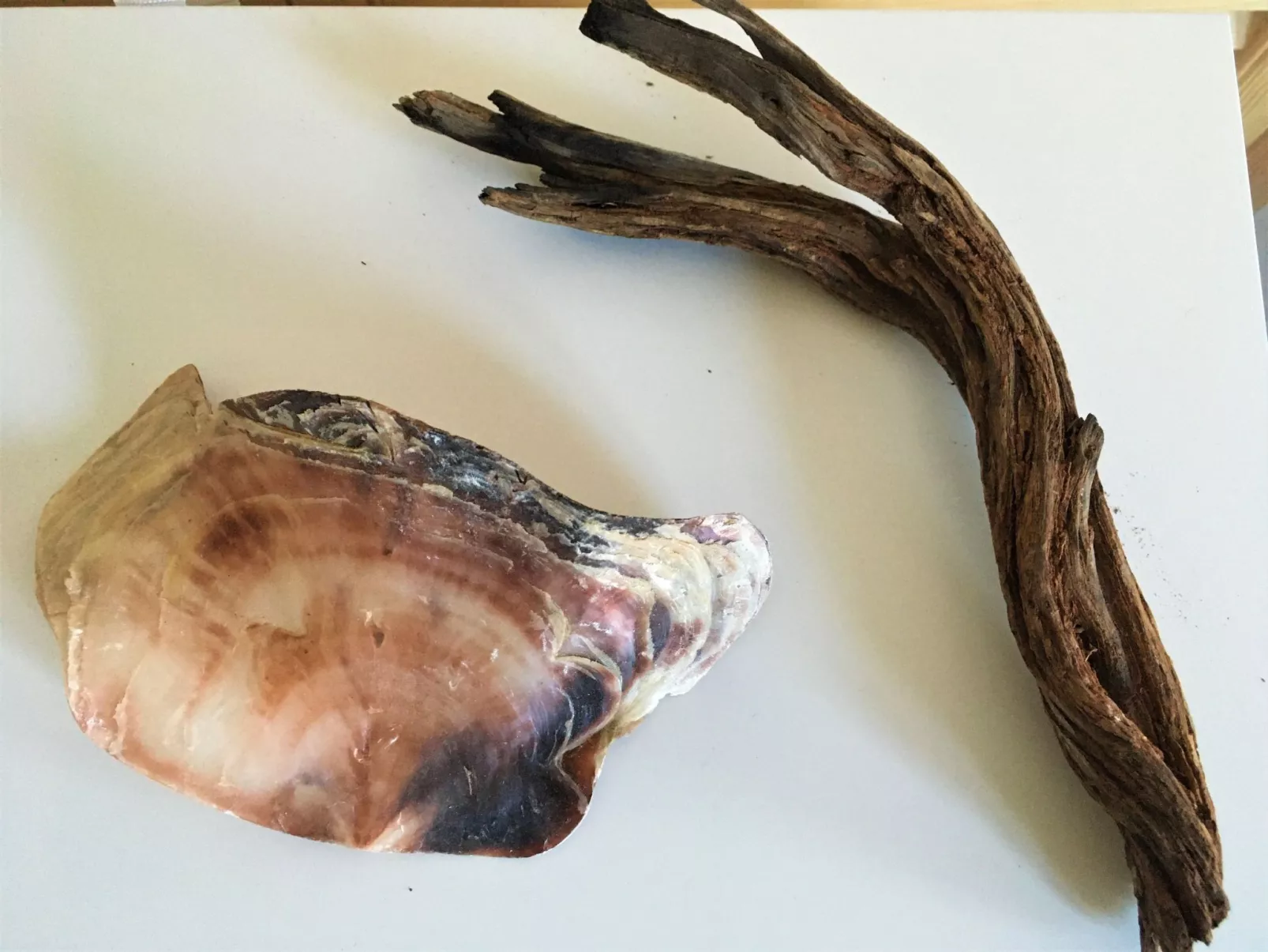 Fischerhus LüttHauke - Drinnen