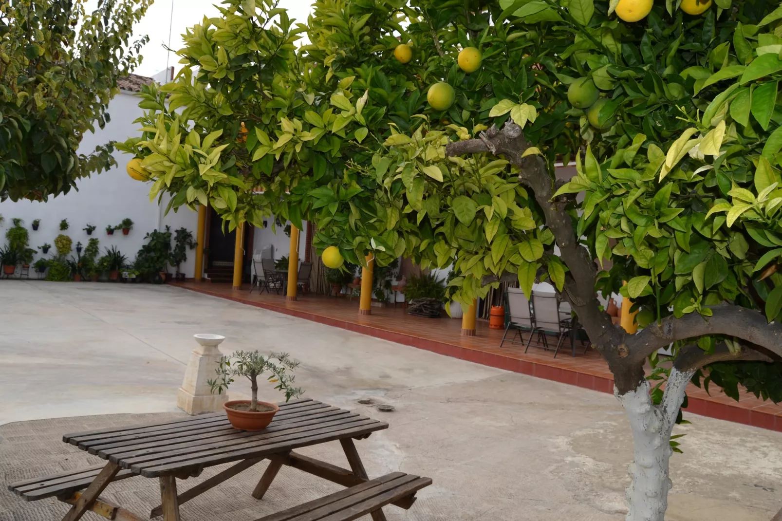 El Pintao ó La Corneja - Ambiente