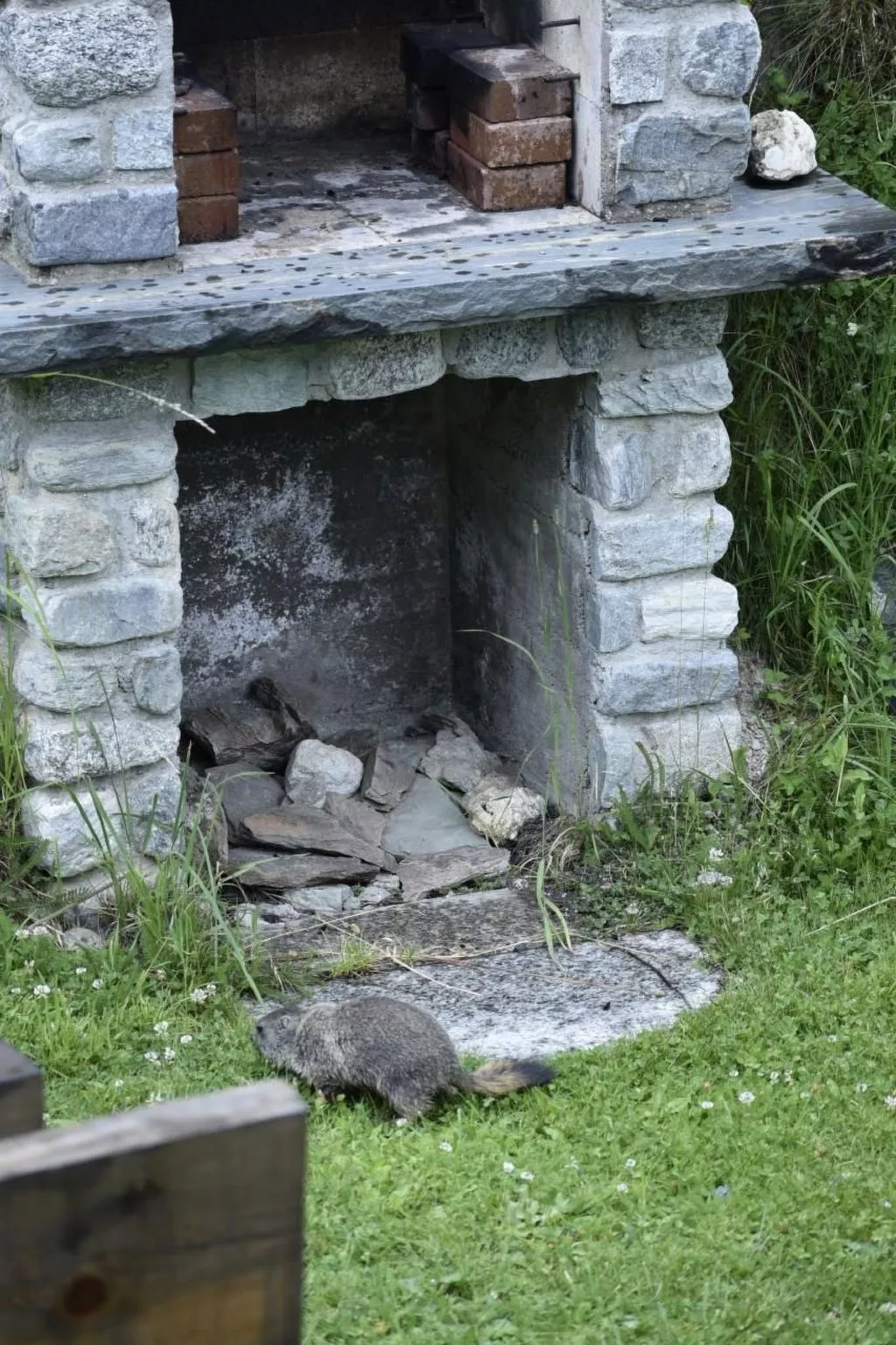Chalet Le Murmure du Torrent - Draußen