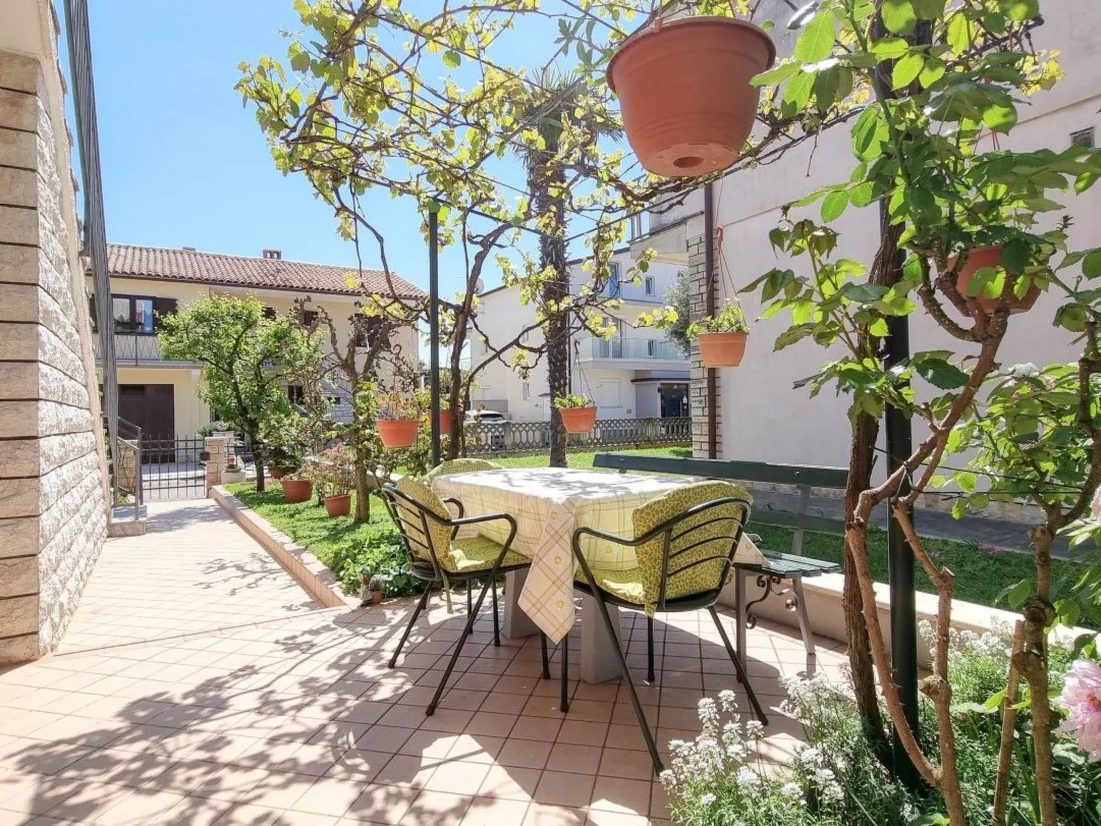 Alma - Image-tags.info