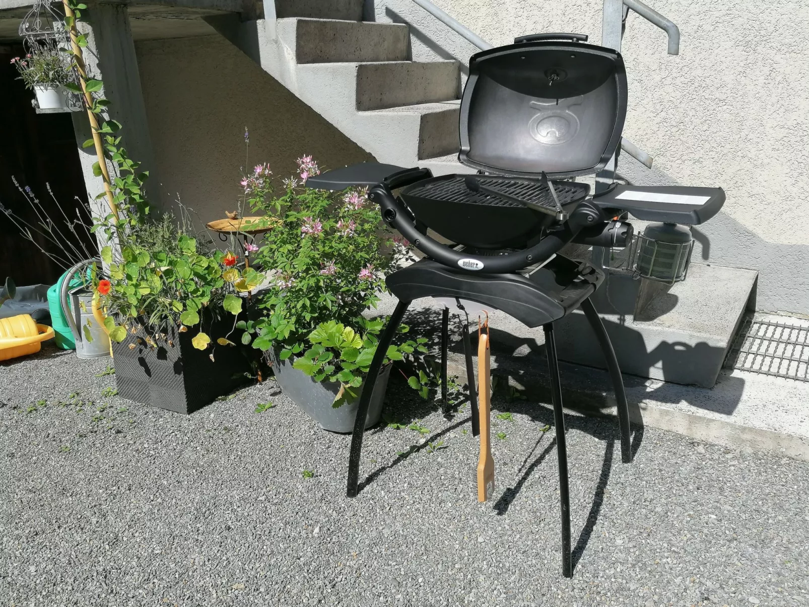 Mattishüüsli - Dehors