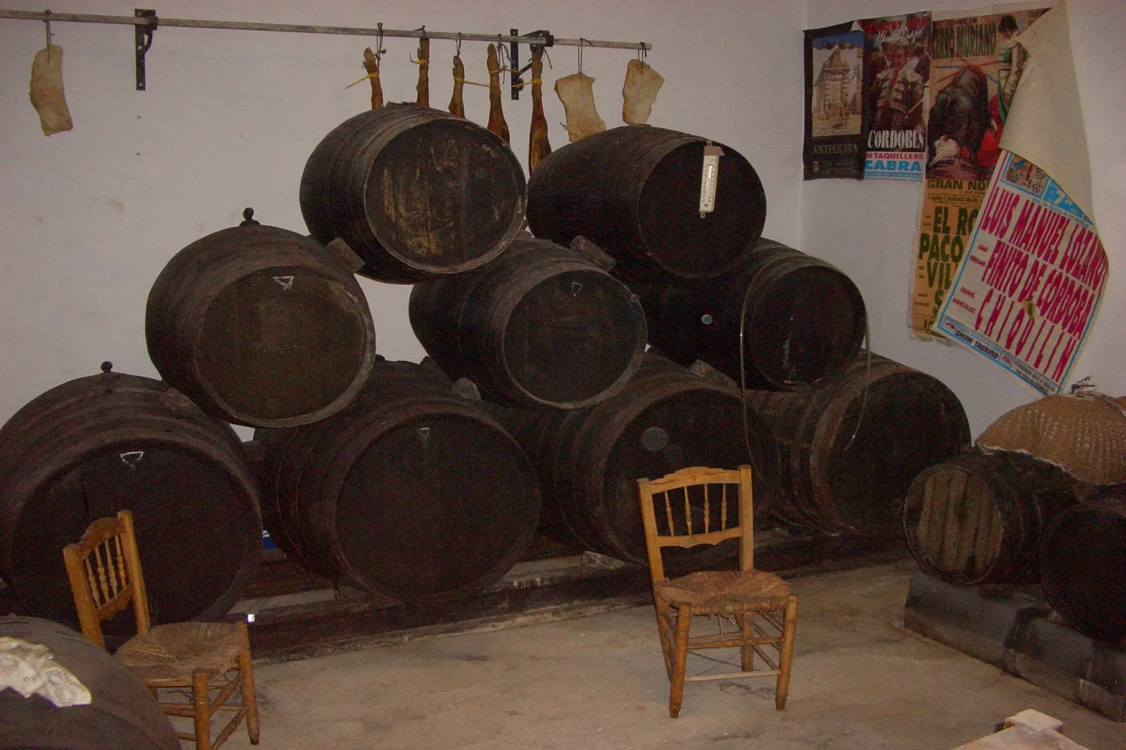 El Pintao ó La Corneja - Ambiente