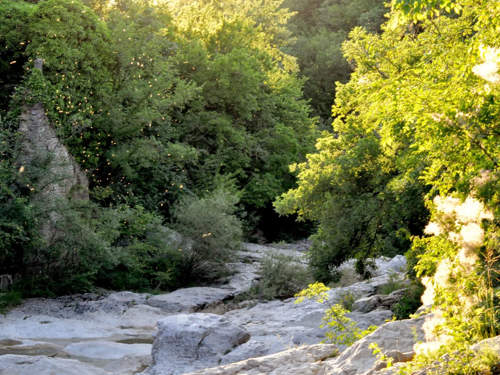 Istrien Traditionelles Steinhaus 1 - Image-tags.info