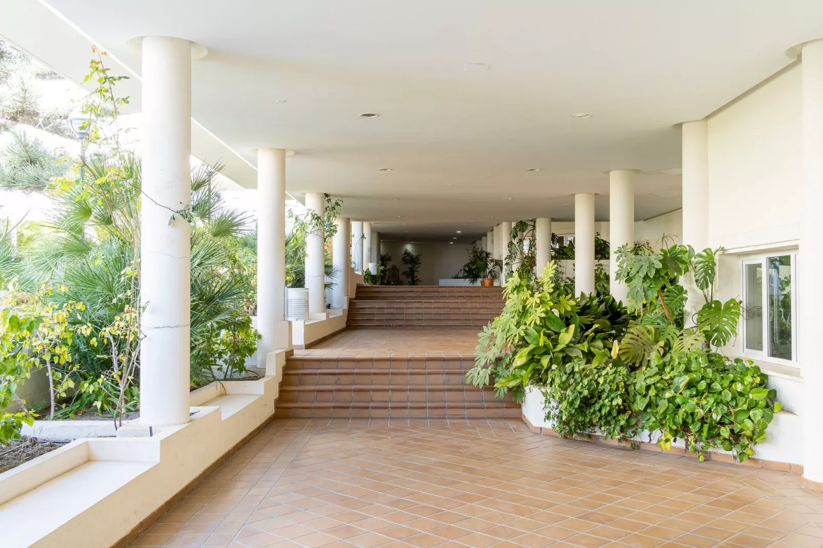 San Pedro del Mar - Image-tags.resort