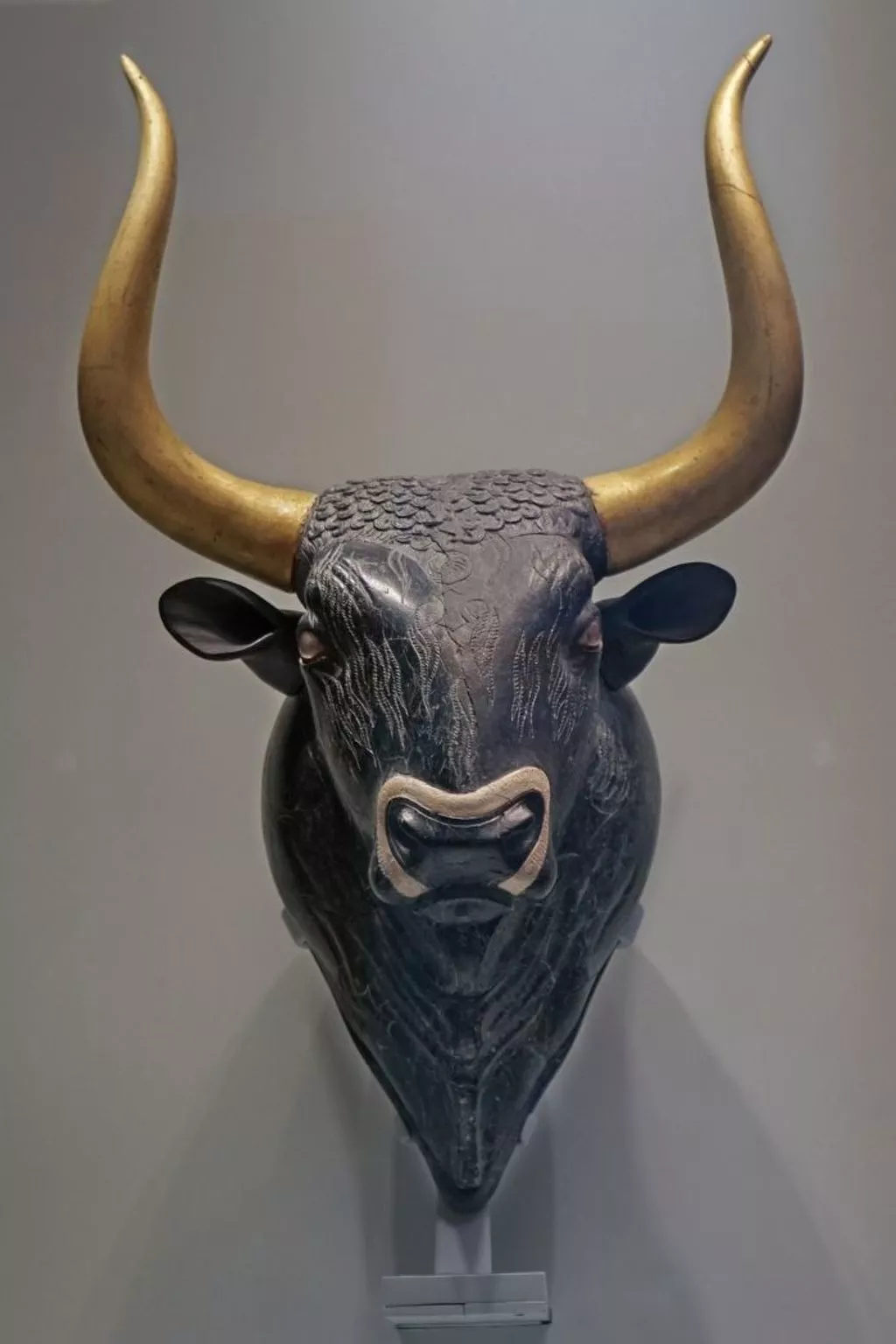 Oleander - Image-tags.info