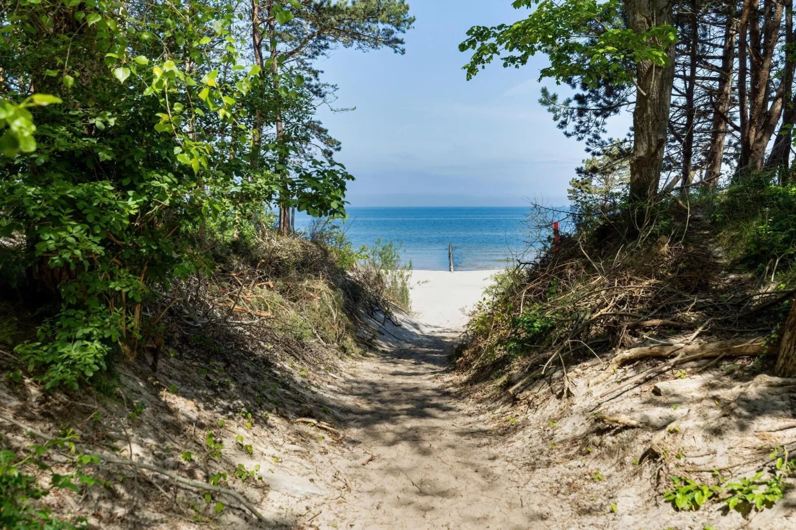 Apartament PINEA Grunwaldzka 82A-613 - Gebiete Sommer 5 km