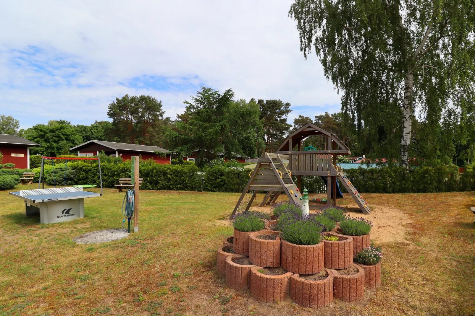 Räuberkuhle Koserow - Garten Sommer