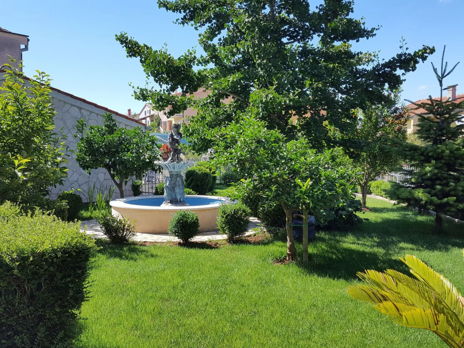 Ginkgo 1 - Image-tags.info