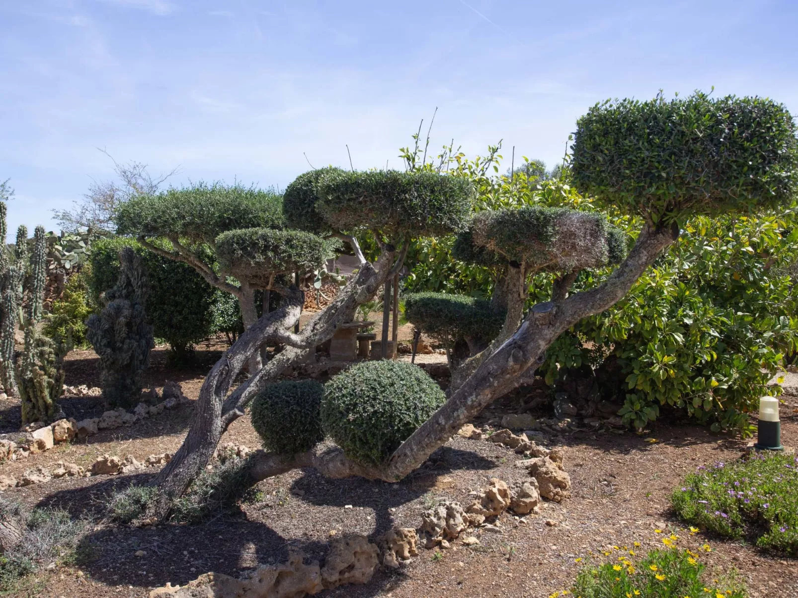 Ca na Ines - Outside