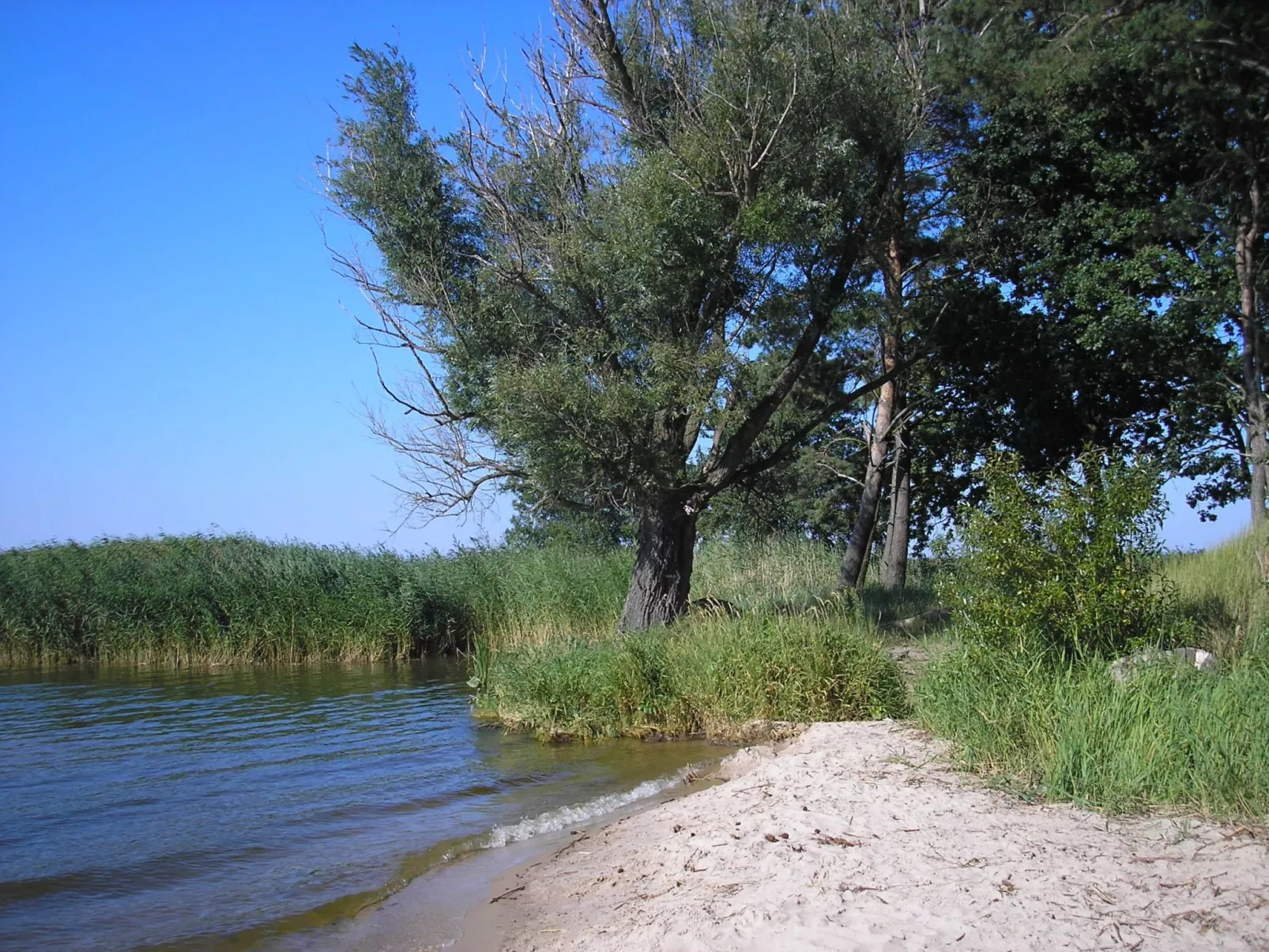 FH Godewind***** 45 - Draußen