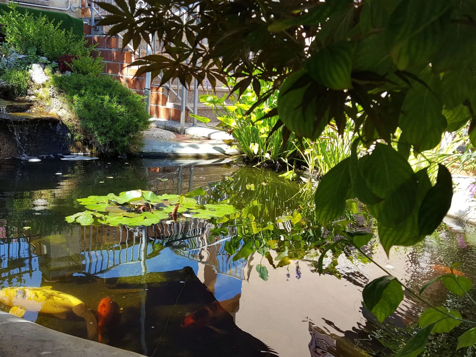 Ginkgo 3 - Image-tags.info