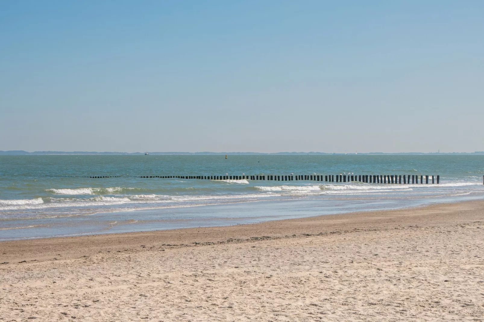 Resort Cadzand 4-Areas summer 1km