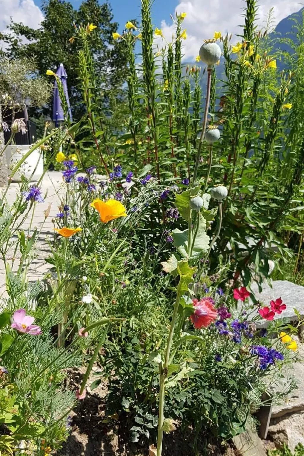 Alpe Monte Massella - Dehors