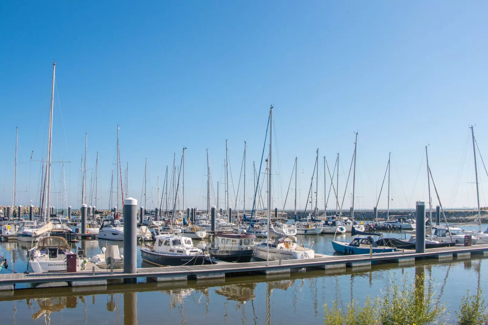 Resort Cadzand 4-Areas summer 1km