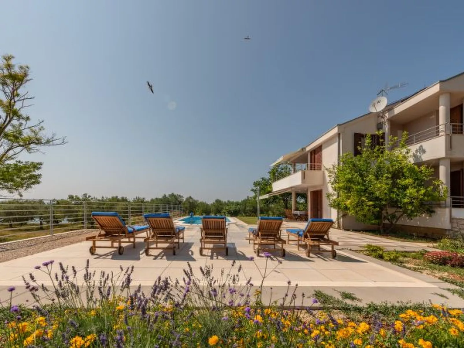 Olivar house with heated pool by the beach - Image-tags.info