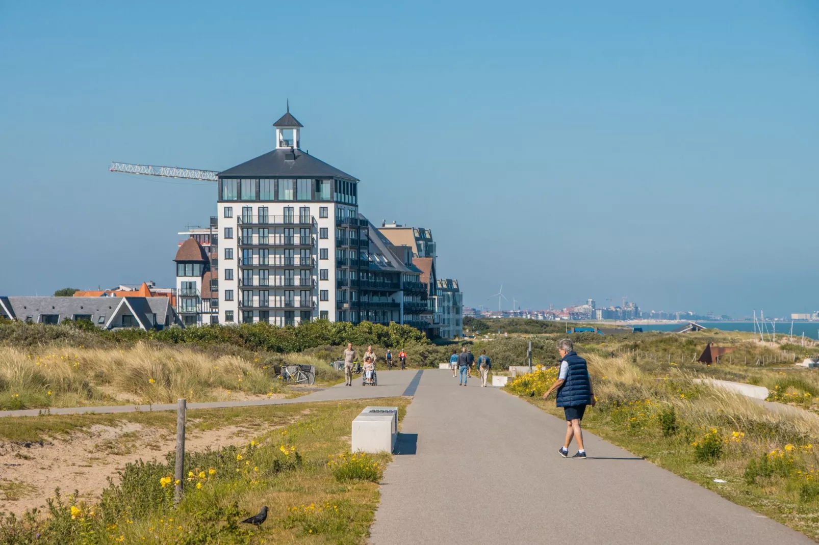 Resort Cadzand 4-Areas summer 1km