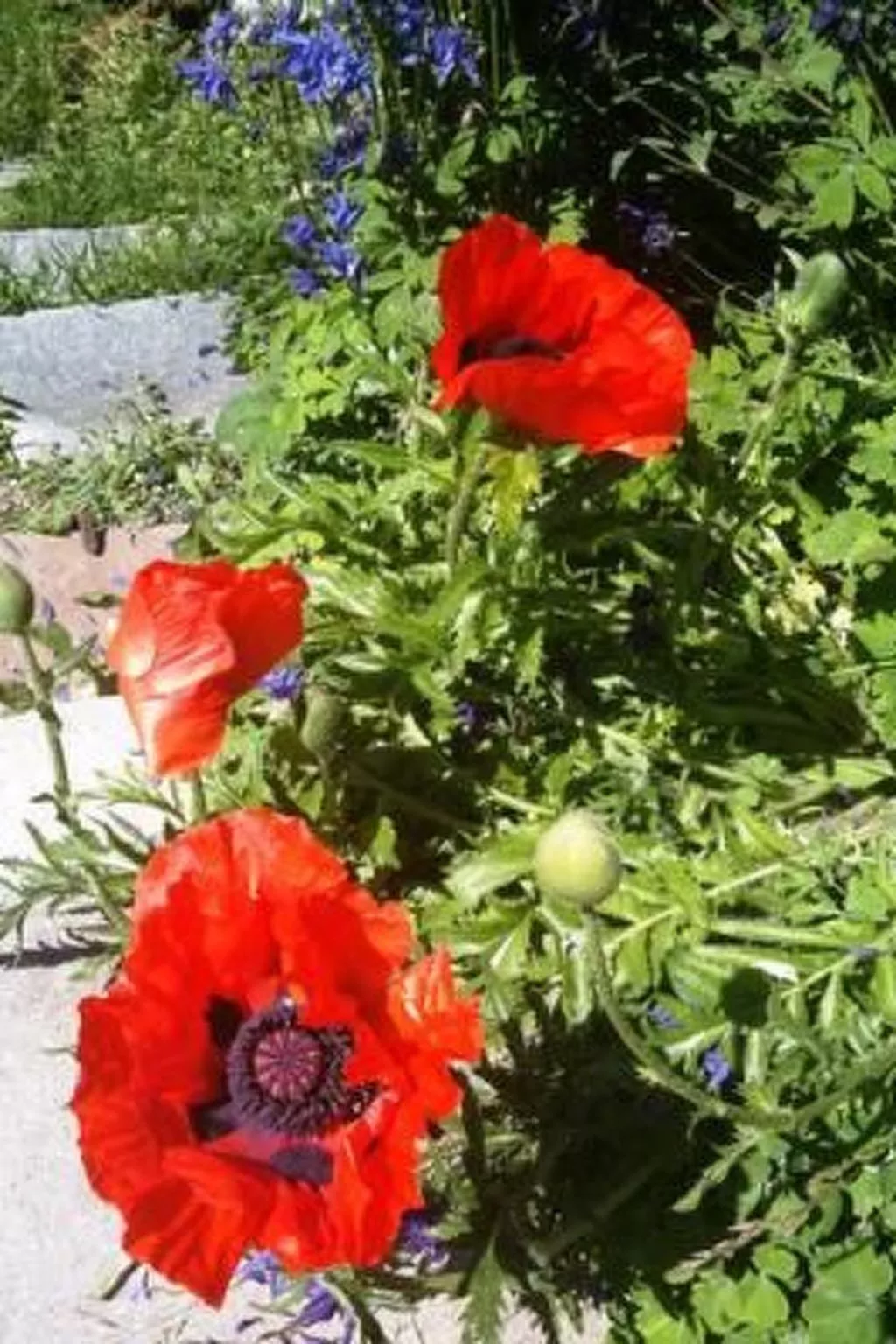 Alpe Monte Massella - Dehors