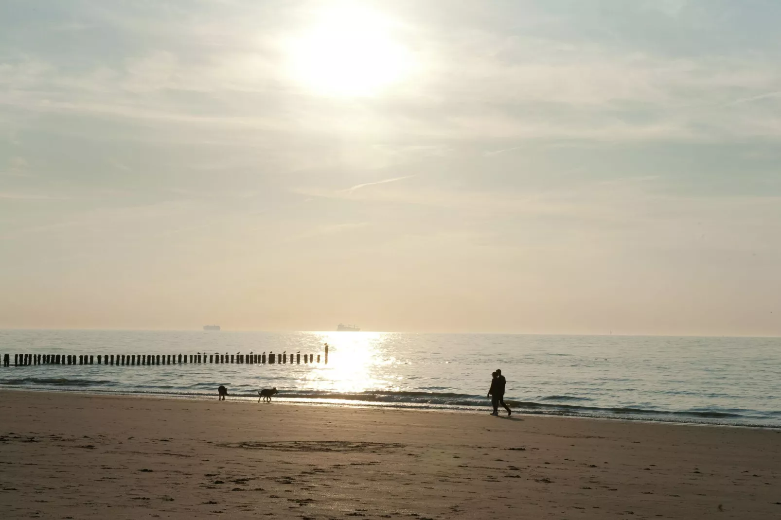 Noordzee Residence Cadzand-Bad 29-Areas summer 1km
