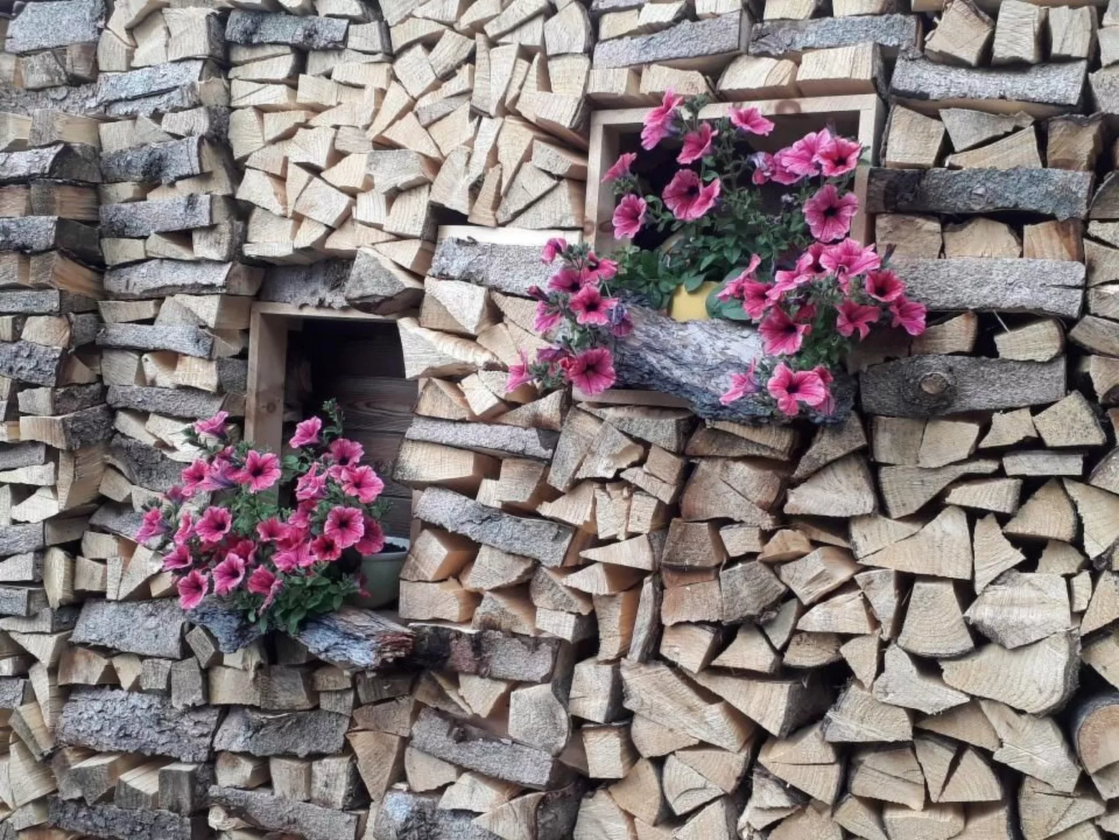 Alpe Monte Massella - Dehors