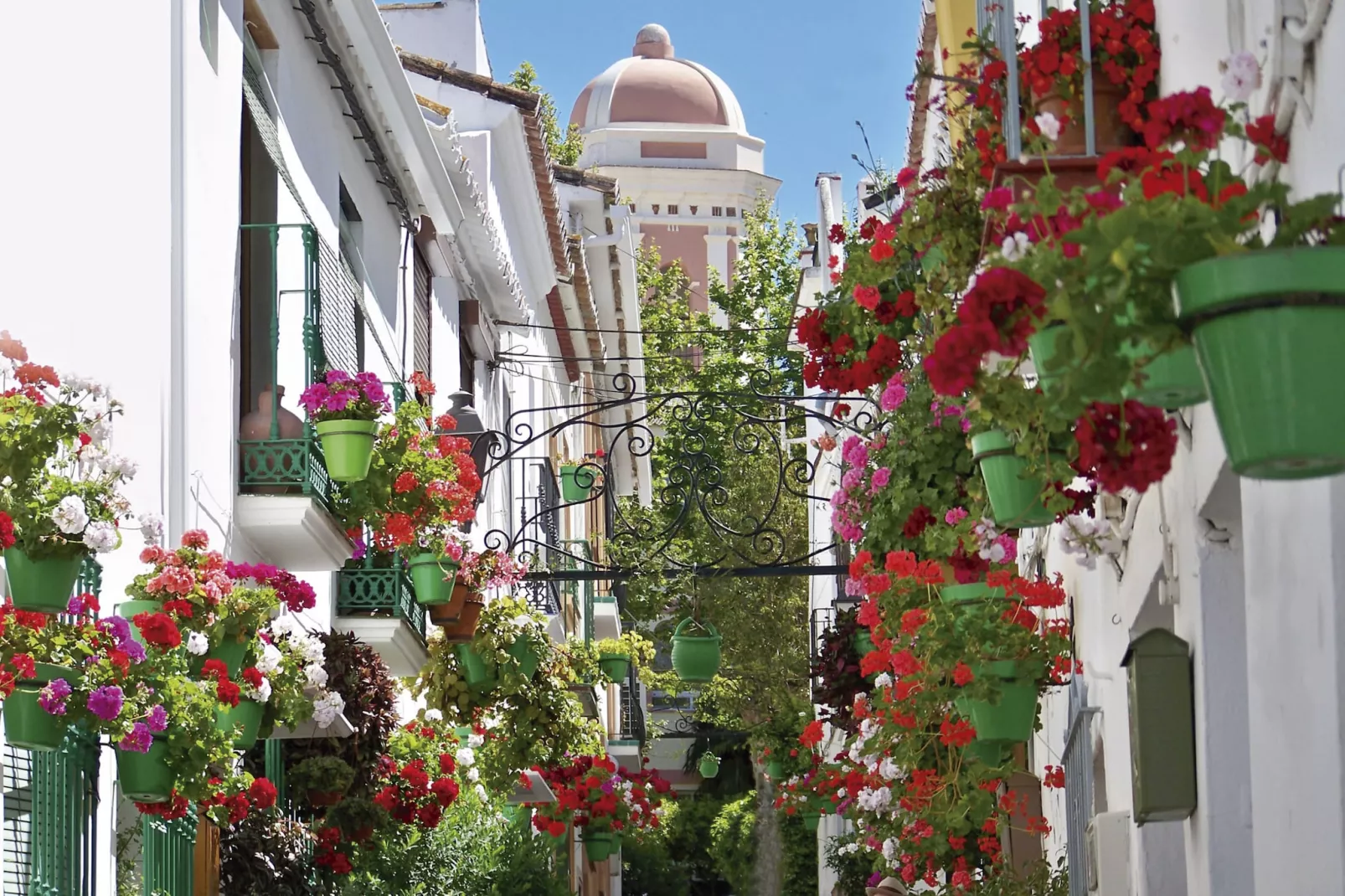Exclusive 3-bed Penthouse Alcazaba Lagoon (321) - Ambiente