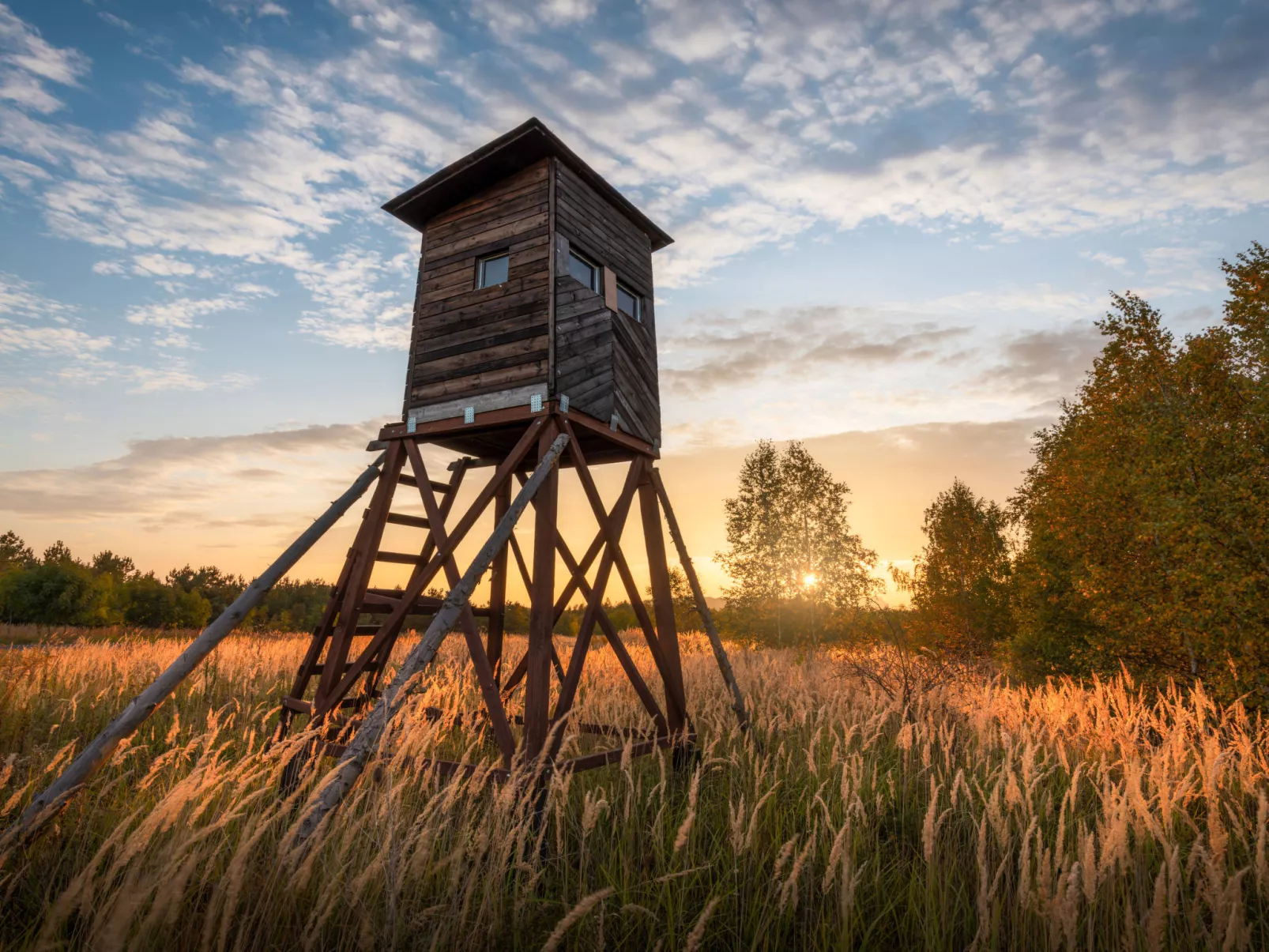 Istrien Traditionelles Steinhaus 8 - Area