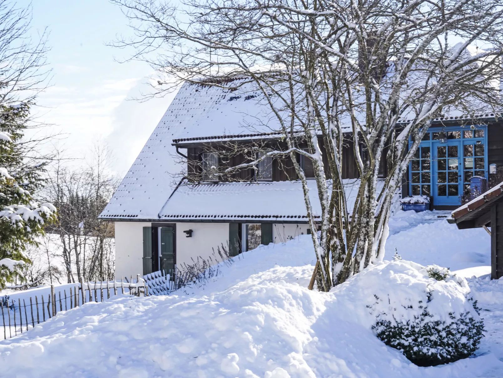 Schwarzwaldhof mit Pool & Sauna - Draußen