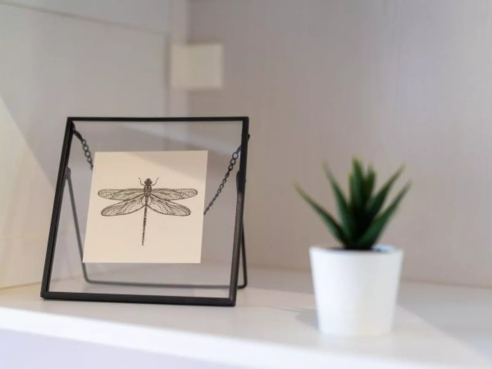 Villa Barotul with pool - Image-tags.info