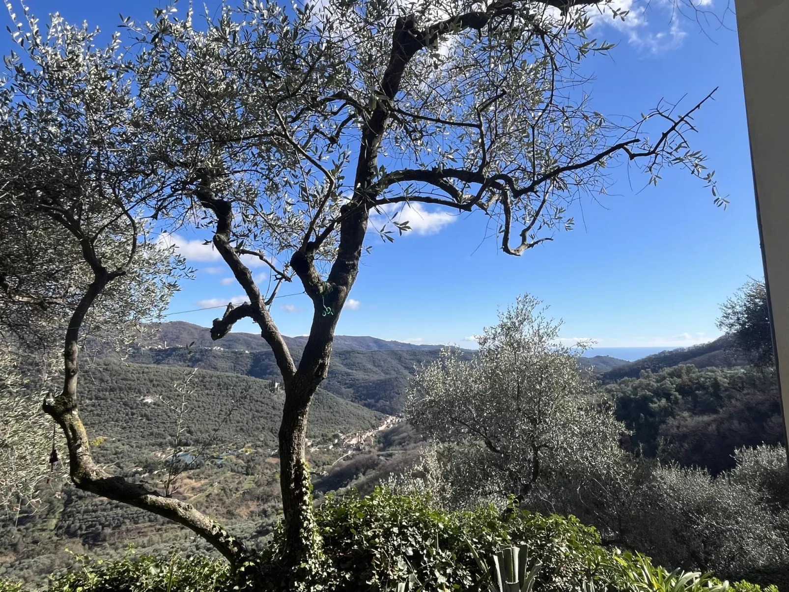 San Giuseppe (VLO210) - Area