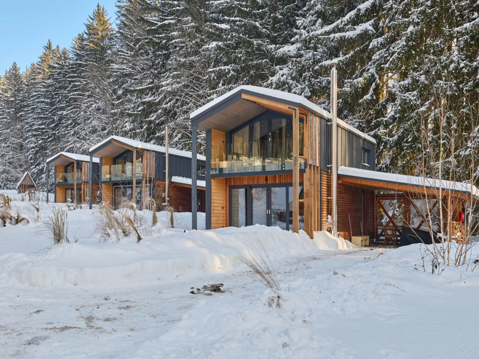 Luxe Timber Lodge & Yoga Loft - Outside