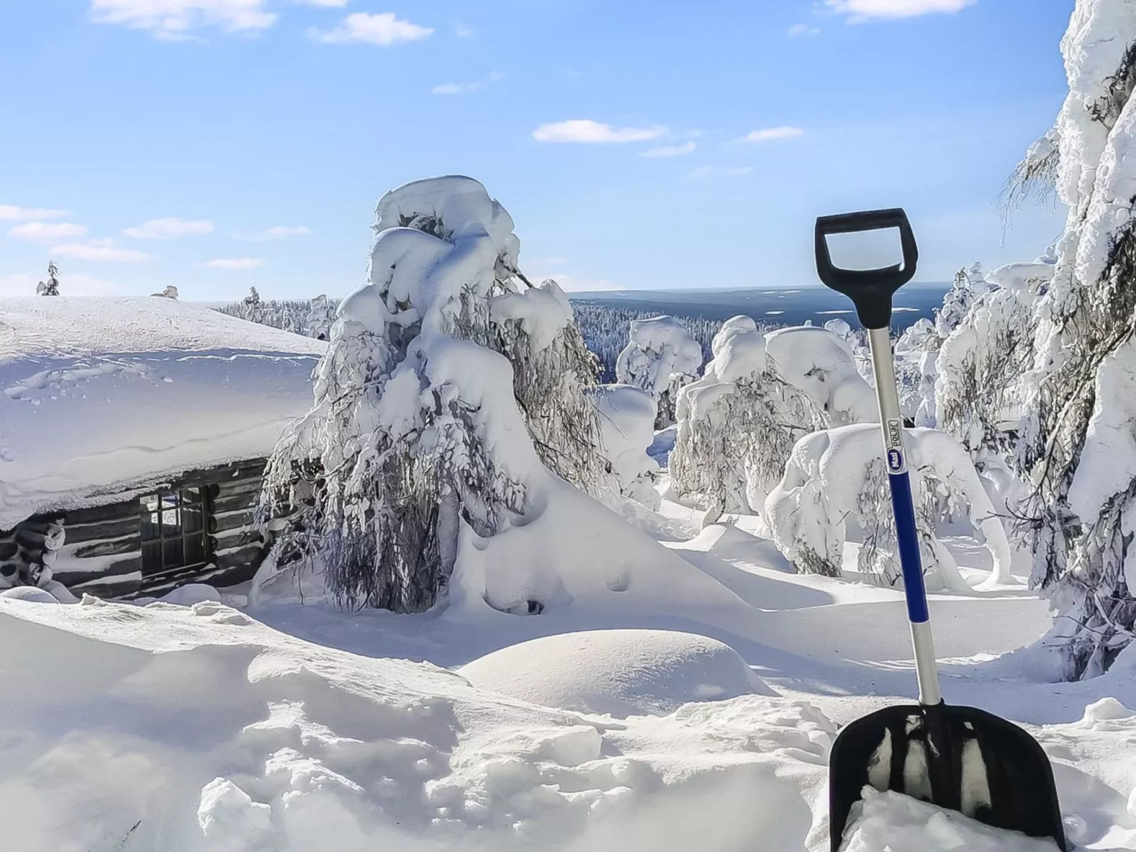 Vilkkuna 20 a - Inside