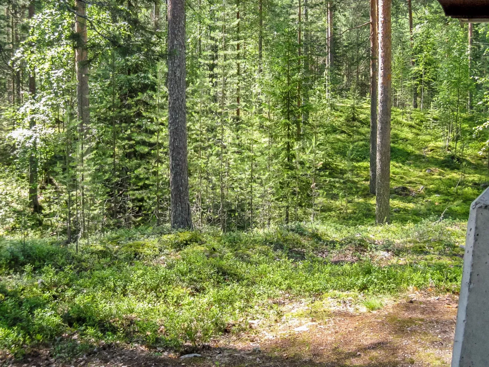 Honkakoli 9/1 - Dedans