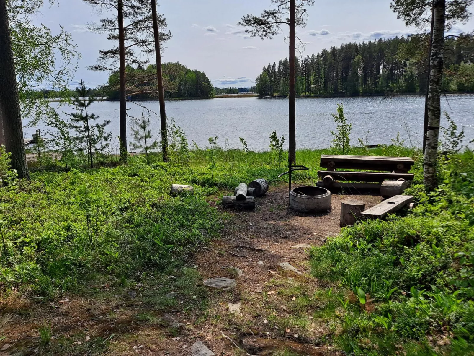 Haapaniemi, cjoe020 - Dedans