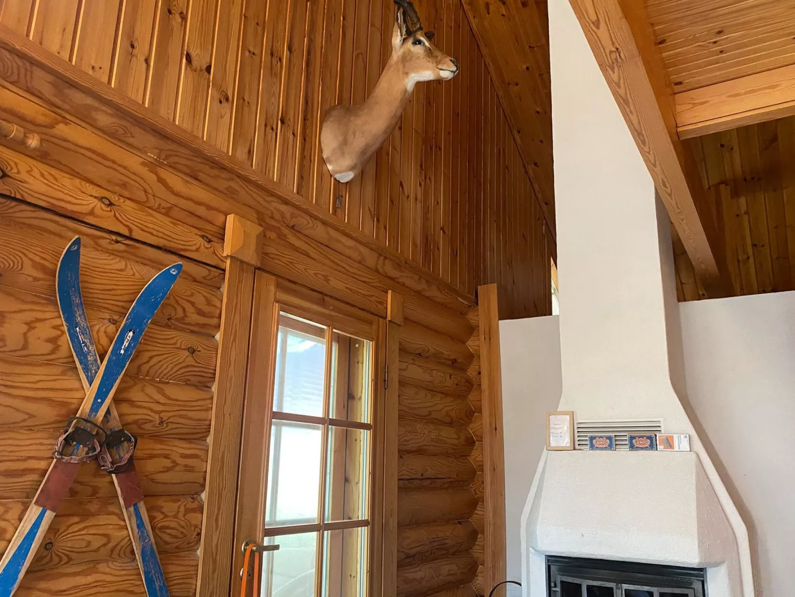 Honkakoli 10 - Drinnen