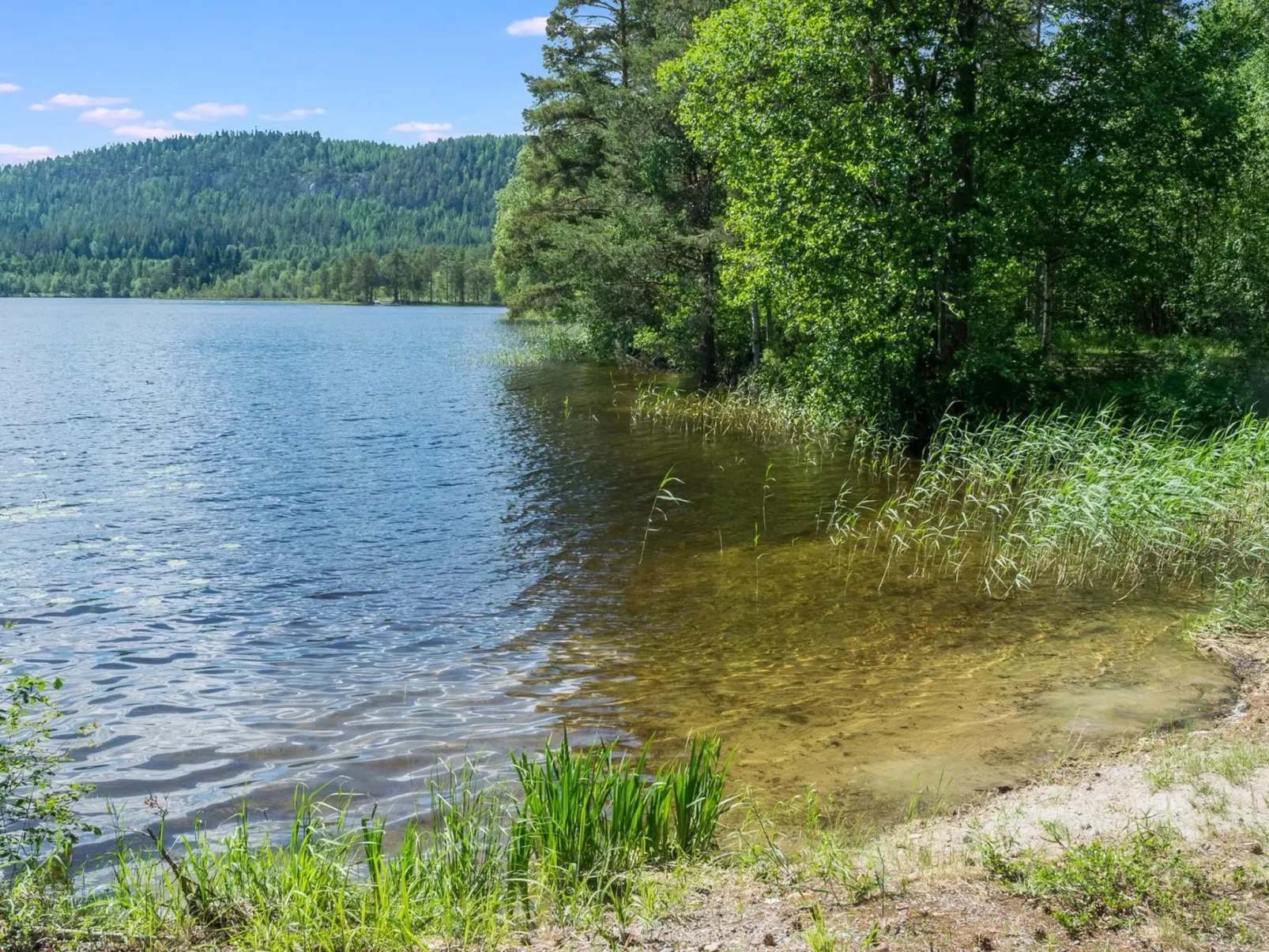 Loma-koli 7 - Drinnen