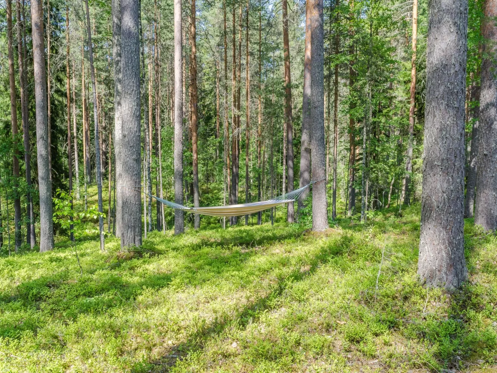 Pyöröpirtti - Dedans