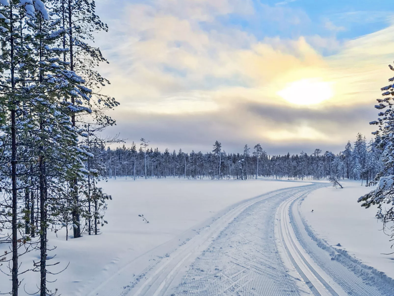 Ruka sinirinta as. 1